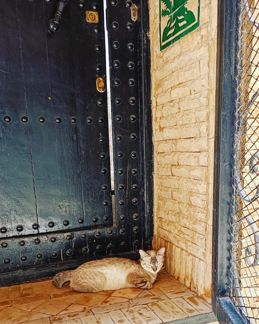 Riad Hugo Marakéš Exteriér fotografie
